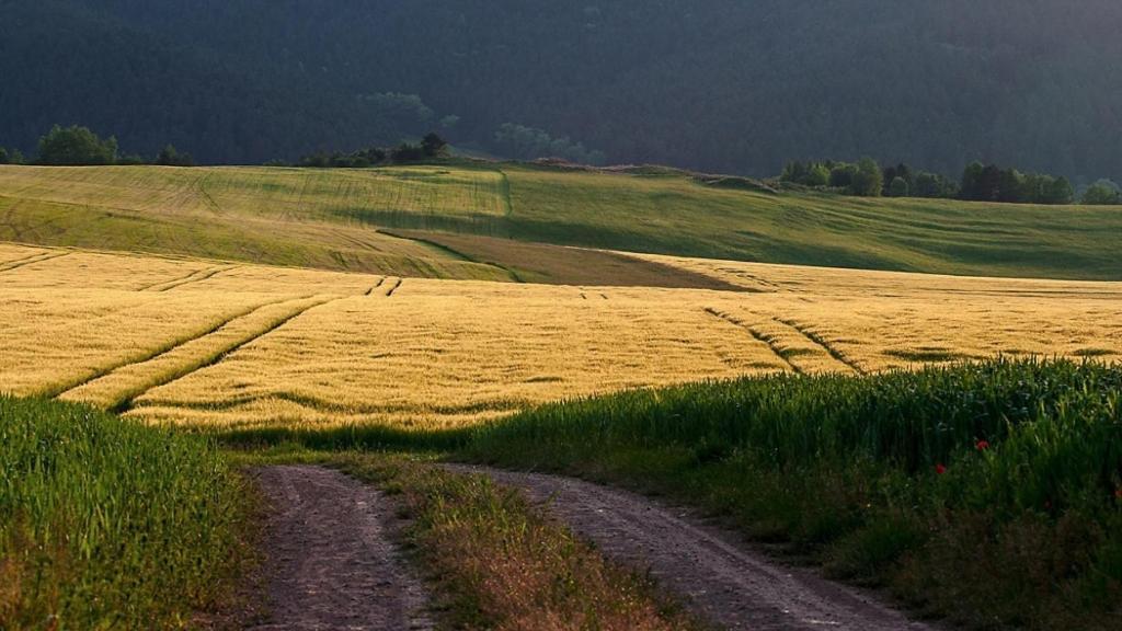 Penzion Mlynarov Dvor Dubrava Экстерьер фото