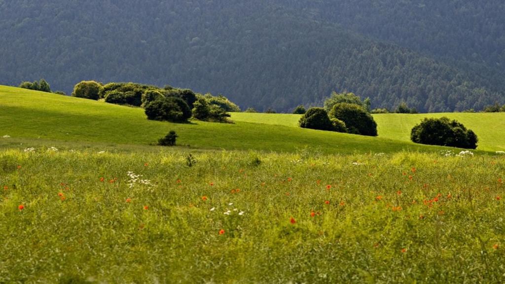 Penzion Mlynarov Dvor Dubrava Экстерьер фото
