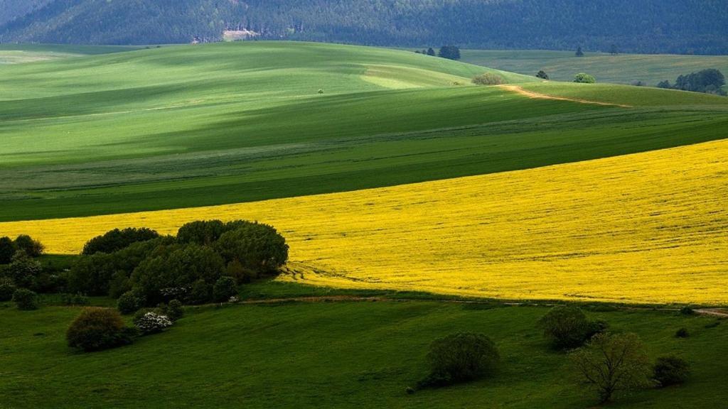 Penzion Mlynarov Dvor Dubrava Экстерьер фото